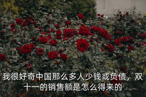 我很好奇中國那么多人少錢或負債，雙十一的銷售額是怎么得來的