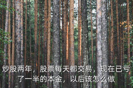 炒股兩年，股票每天都交易，現(xiàn)在已虧了一半的本金，以后該怎么做