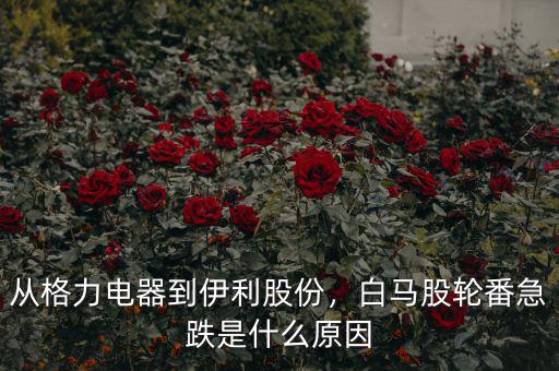 從格力電器到伊利股份，白馬股輪番急跌是什么原因