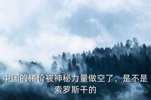 中國(guó)的豬價(jià)被神秘力量做空了，是不是索羅斯干的