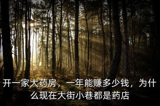 開一家大藥房，一年能賺多少錢，為什么現(xiàn)在大街小巷都是藥店