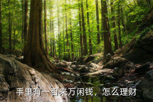 手里有一百來萬閑錢，怎么理財