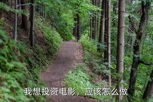 我想投資電影，應(yīng)該怎么做