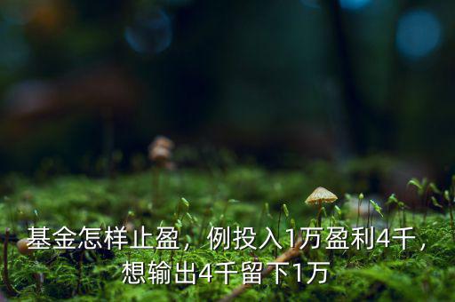 基金怎樣止盈，例投入1萬盈利4千，想輸出4千留下1萬