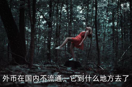 外幣在國內(nèi)不流通，它到什么地方去了