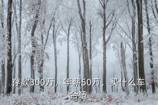 存款300萬，年薪50萬，買什么車合適