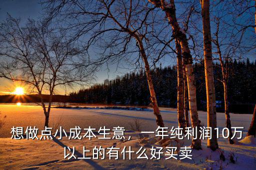 想做點小成本生意，一年純利潤10萬以上的有什么好買賣