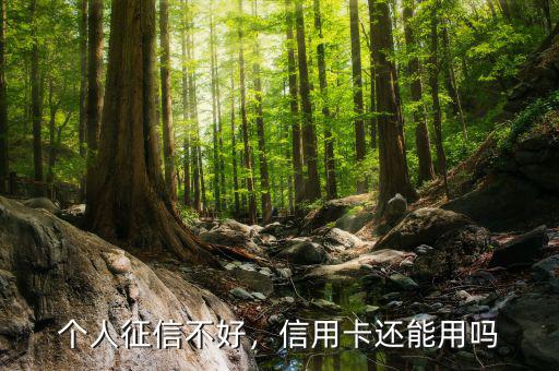 個人征信不好，信用卡還能用嗎