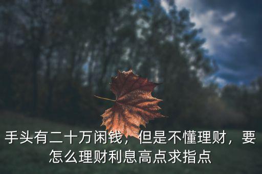 手頭有二十萬閑錢，但是不懂理財，要怎么理財利息高點求指點