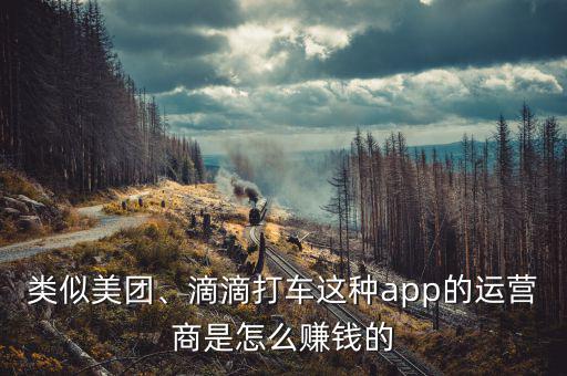 類似美團、滴滴打車這種app的運營商是怎么賺錢的