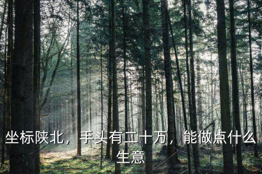 坐標(biāo)陜北，手頭有二十萬，能做點什么生意