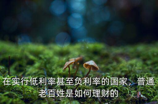 在實(shí)行低利率甚至負(fù)利率的國家，普通老百姓是如何理財(cái)?shù)? class=