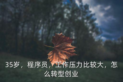 35歲，程序員，工作壓力比較大，怎么轉(zhuǎn)型創(chuàng)業(yè)