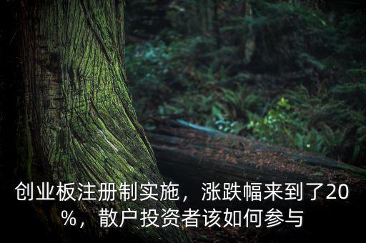 創(chuàng)業(yè)板注冊(cè)制實(shí)施，漲跌幅來到了20%，散戶投資者該如何參與