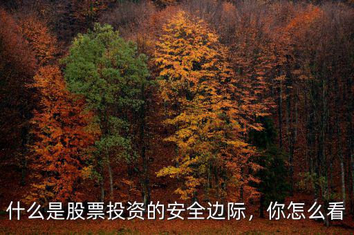 什么是股票投資的安全邊際，你怎么看