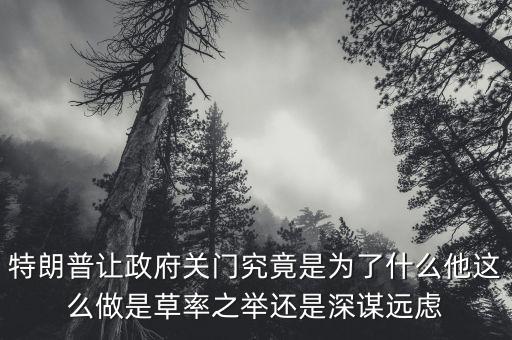 特朗普讓政府關門究竟是為了什么他這么做是草率之舉還是深謀遠慮