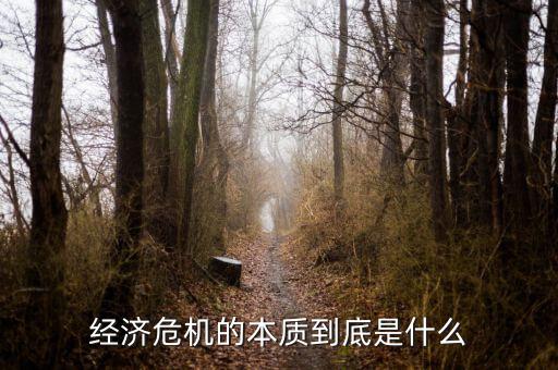 經(jīng)濟危機的本質到底是什么