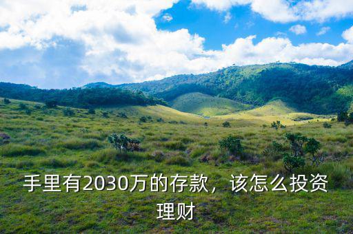 手里有2030萬的存款，該怎么投資理財