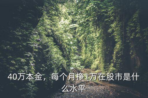40萬本金，每個月掙1萬在股市是什么水平