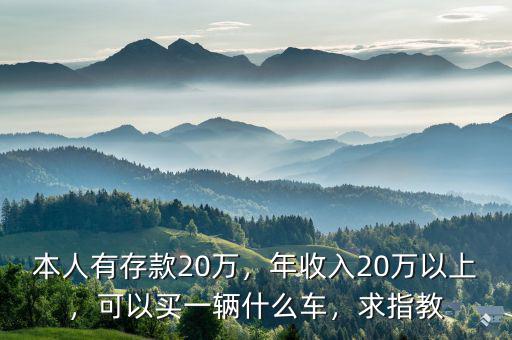 本人有存款20萬，年收入20萬以上，可以買一輛什么車，求指教