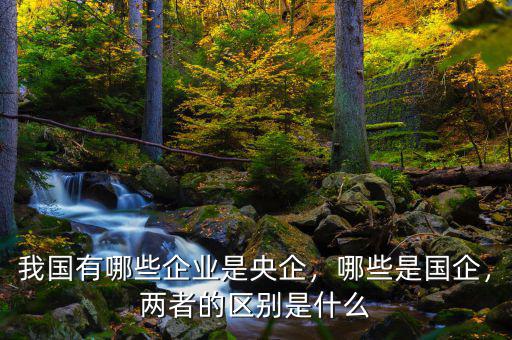 我國有哪些企業(yè)是央企，哪些是國企，兩者的區(qū)別是什么