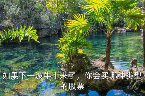 如果下一波牛市來了，你會買哪種類型的股票