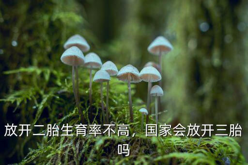 放開二胎生育率不高，國家會放開三胎嗎