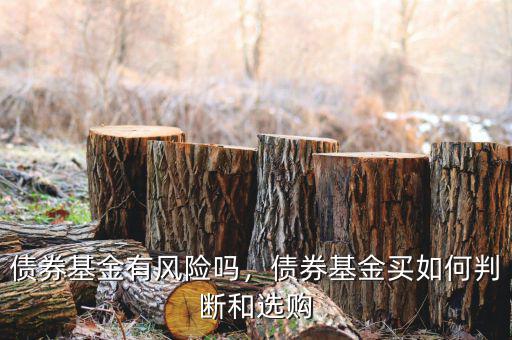 債券基金有風(fēng)險(xiǎn)嗎，債券基金買如何判斷和選購(gòu)