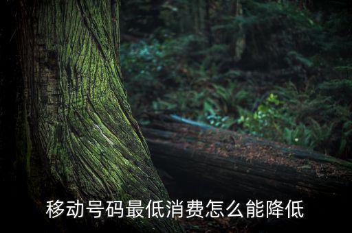 移動號碼最低消費(fèi)怎么能降低
