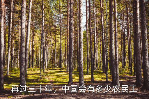 再過三十年，中國會有多少農民工