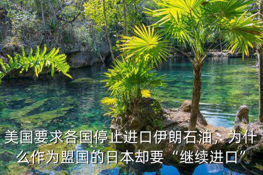 美國要求各國停止進(jìn)口伊朗石油，為什么作為盟國的日本卻要“繼續(xù)進(jìn)口”
