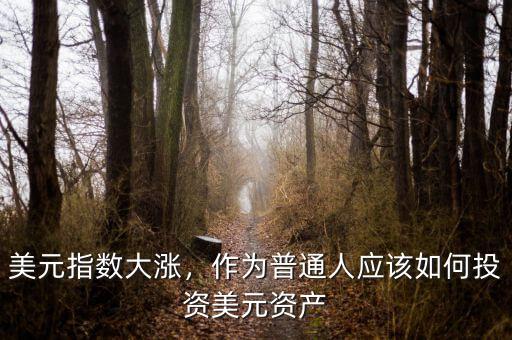 美元指數(shù)大漲，作為普通人應該如何投資美元資產(chǎn)