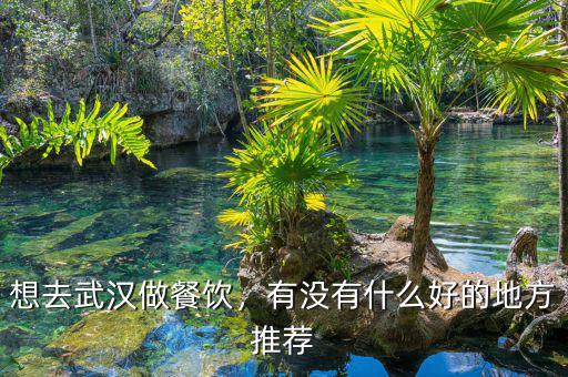 想去武漢做餐飲，有沒(méi)有什么好的地方推薦