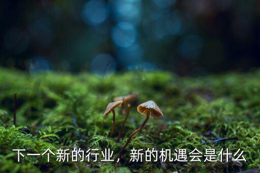 下一個(gè)新的行業(yè)，新的機(jī)遇會(huì)是什么