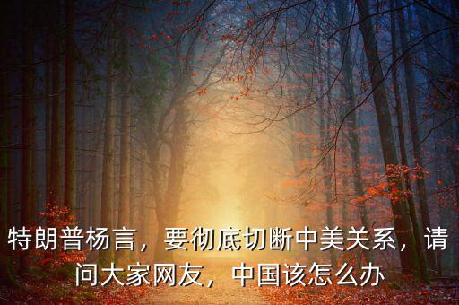 特朗普楊言，要徹底切斷中美關系，請問大家網(wǎng)友，中國該怎么辦