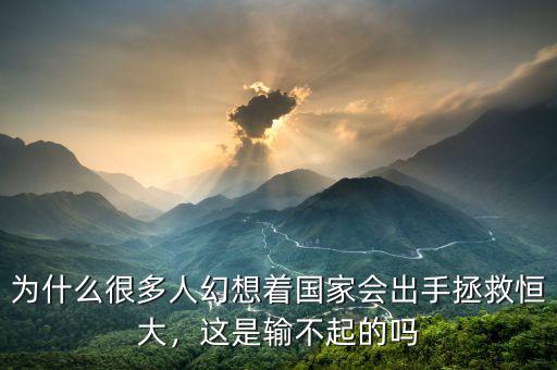 為什么很多人幻想著國家會出手拯救恒大，這是輸不起的嗎