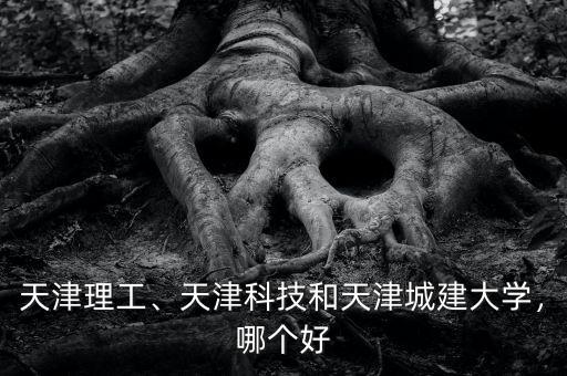天津理工、天津科技和天津城建大學(xué)，哪個好