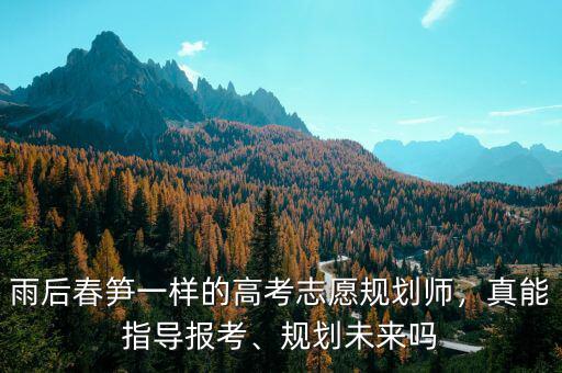 雨后春筍一樣的高考志愿規(guī)劃師，真能指導(dǎo)報考、規(guī)劃未來嗎