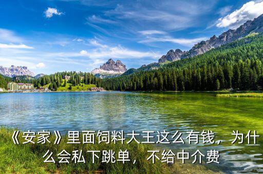 《安家》里面飼料大王這么有錢，為什么會私下跳單，不給中介費