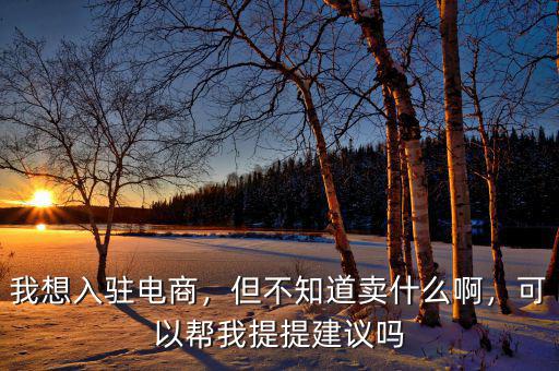 我想入駐電商，但不知道賣什么啊，可以幫我提提建議嗎