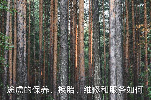 途虎的保養(yǎng)、換胎、維修和服務(wù)如何