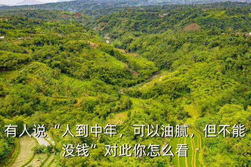 有人說“人到中年，可以油膩，但不能沒錢”對此你怎么看
