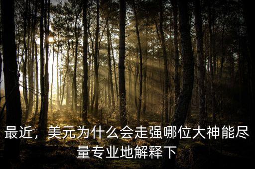 最近，美元為什么會走強哪位大神能盡量專業(yè)地解釋下