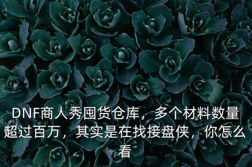DNF商人秀囤貨倉庫，多個材料數(shù)量超過百萬，其實是在找接盤俠，你怎么看