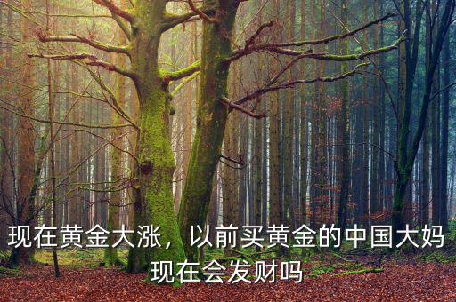 現(xiàn)在黃金大漲，以前買黃金的中國大媽現(xiàn)在會發(fā)財嗎
