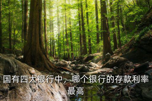 國有四大銀行中，哪個銀行的存款利率最高