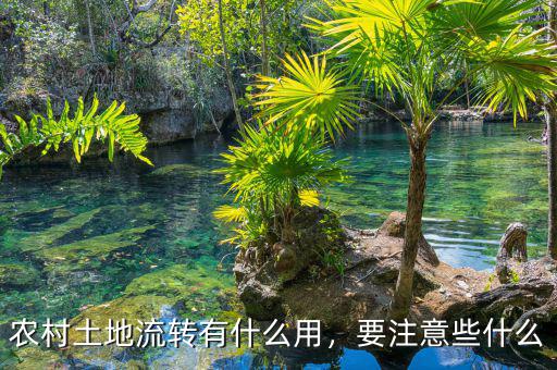 農(nóng)村土地流轉(zhuǎn)有什么用，要注意些什么