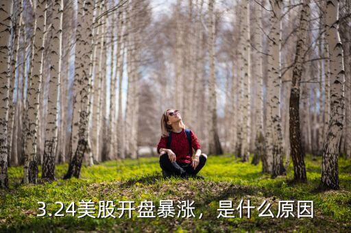 3.24美股開盤暴漲，是什么原因