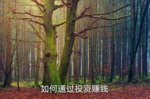 愛(ài)投資怎么賺錢,如何通過(guò)投資賺錢