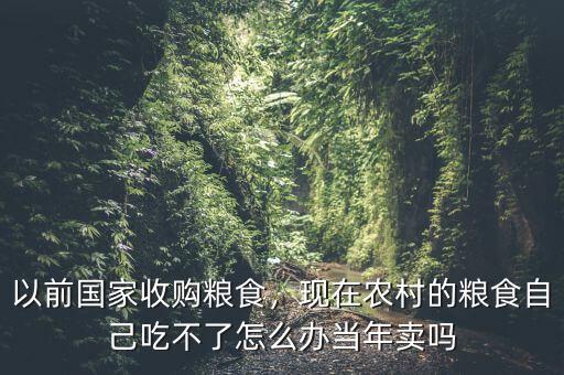 以前國家收購糧食，現(xiàn)在農(nóng)村的糧食自己吃不了怎么辦當(dāng)年賣嗎